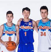 辽宁队集体发挥，以击败对手，势如破竹的简单介绍