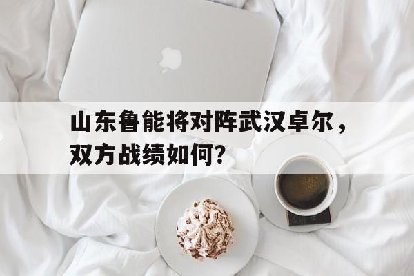 山东鲁能将对阵武汉卓尔，双方战绩如何？的简单介绍