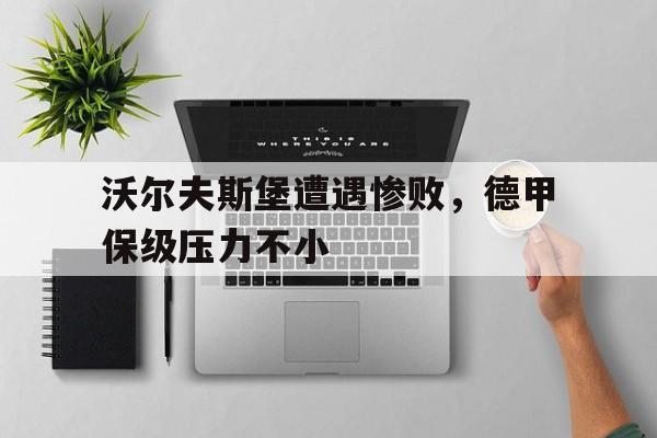 沃尔夫斯堡遭遇惨败，德甲保级压力不小的简单介绍