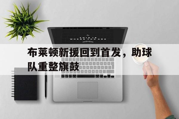 包含布莱顿新援回到首发，助球队重整旗鼓的词条